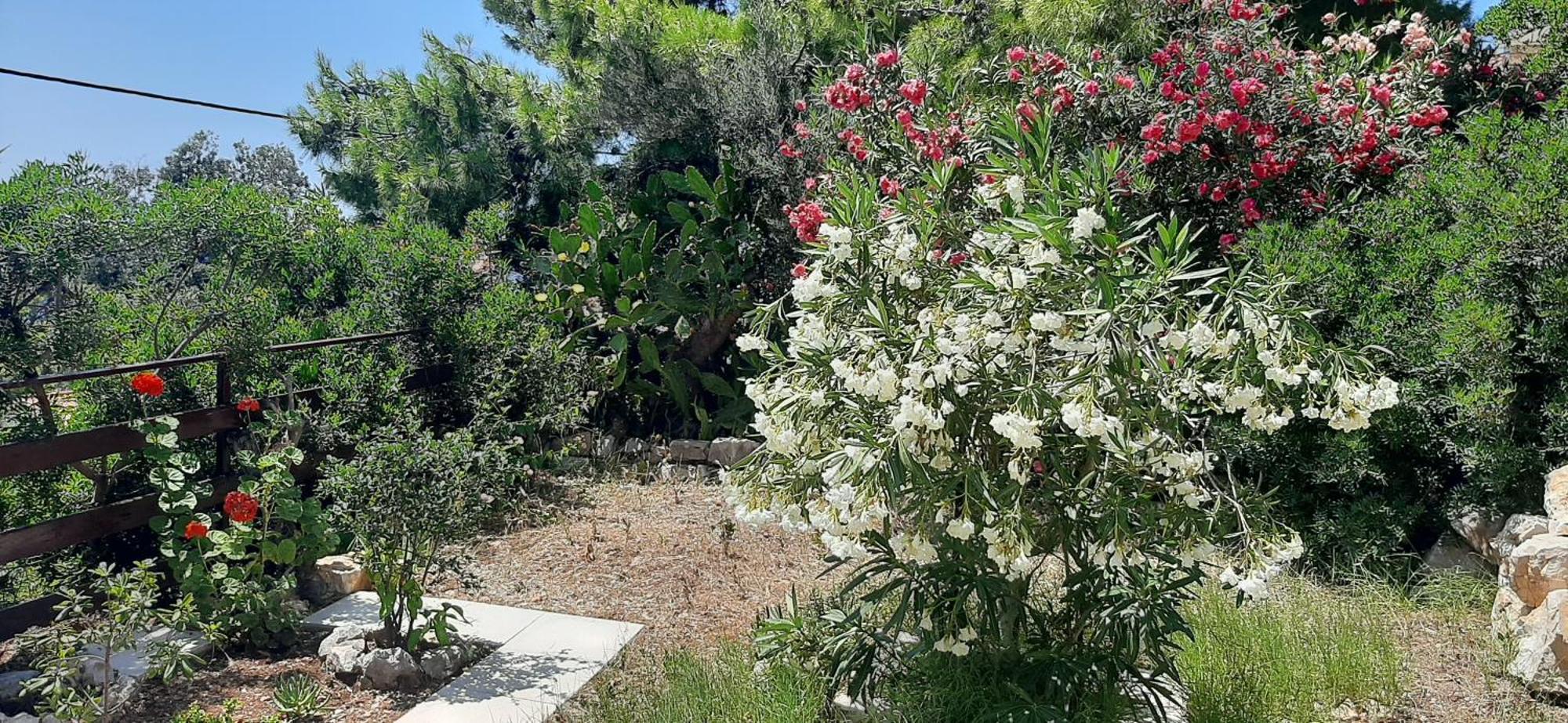 Apartman Ena By The Sea Prizba Εξωτερικό φωτογραφία